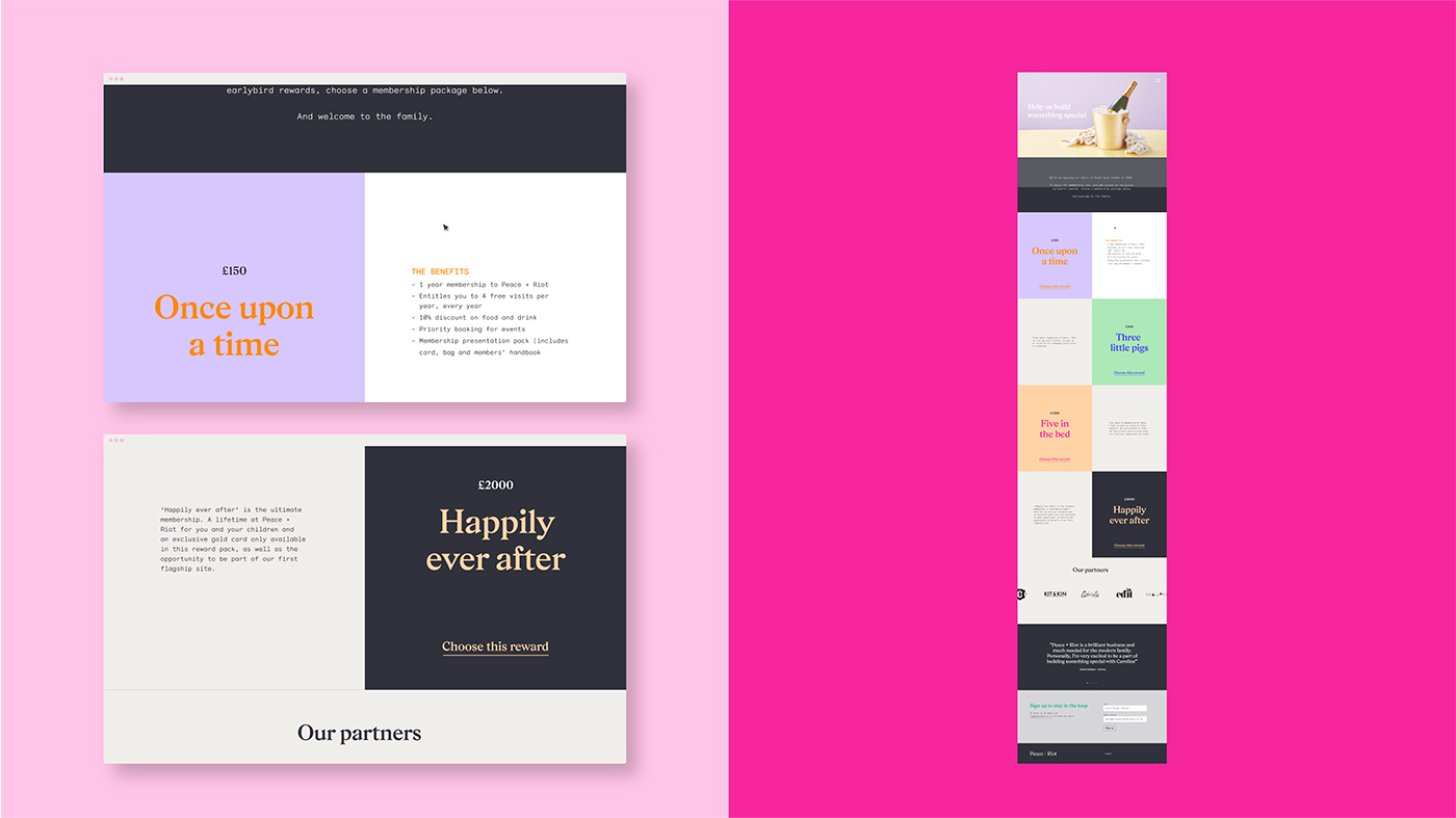 An example of the website designed for the client 