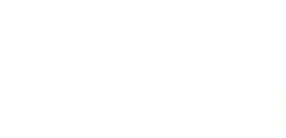 Virgin Active Logo